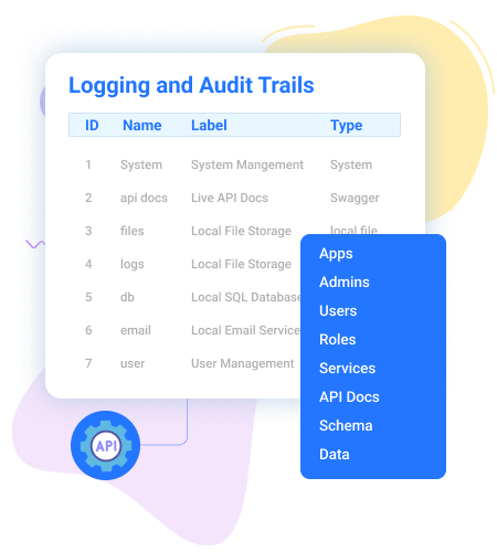 auditing and logging
